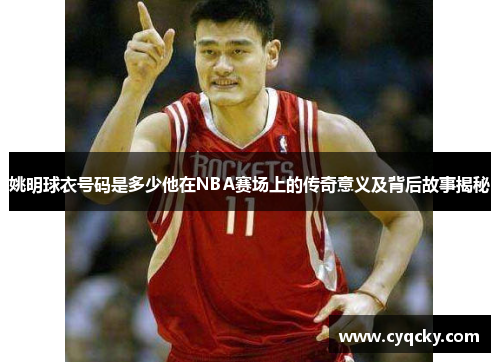 姚明球衣号码是多少他在NBA赛场上的传奇意义及背后故事揭秘